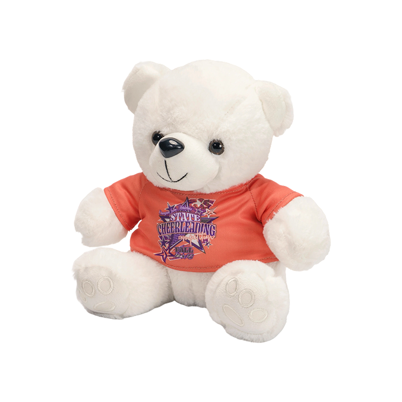 Schattige knuffelbeer met een T-shirt Schattige knuffelbeer met een T-shirt
