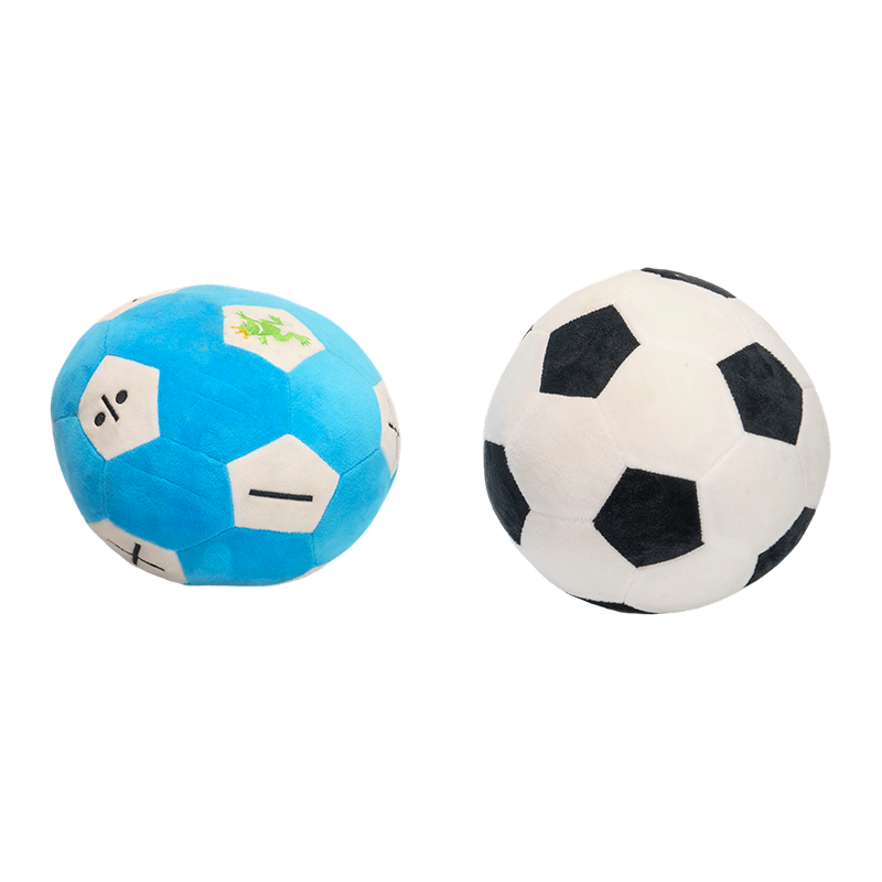 Speelvoetbal voor huisdieren